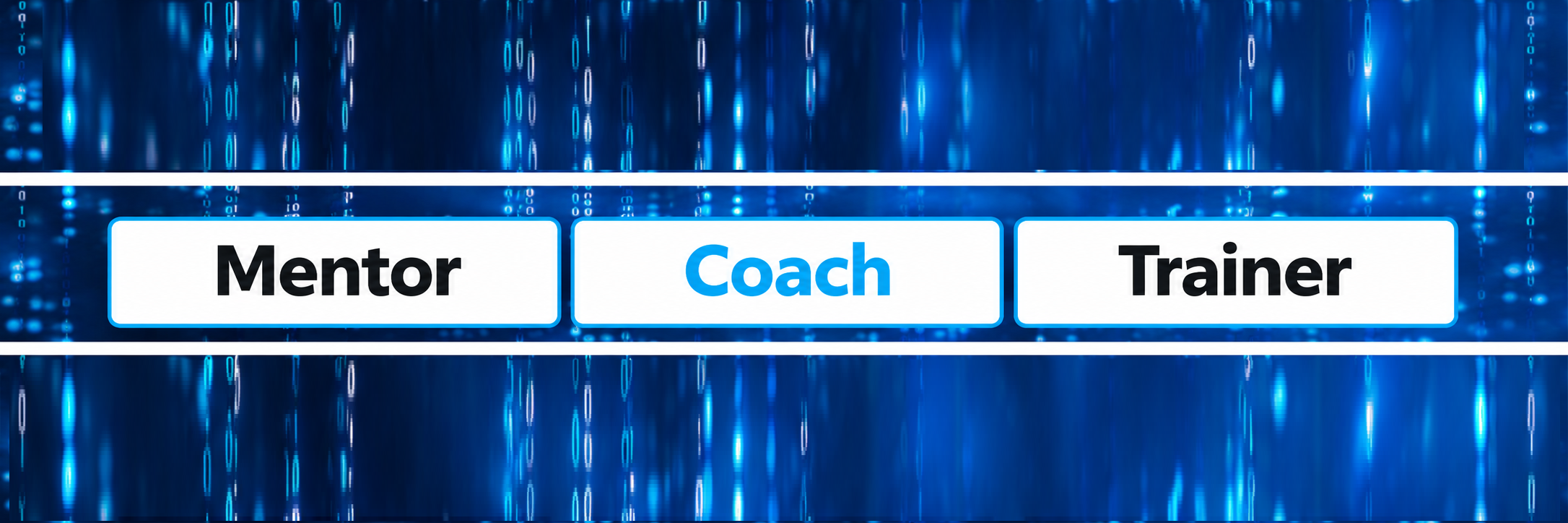 Coach Organizacional